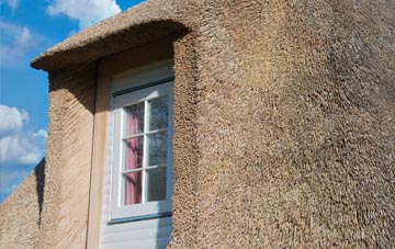 Paganhill thatch roof disadvantages